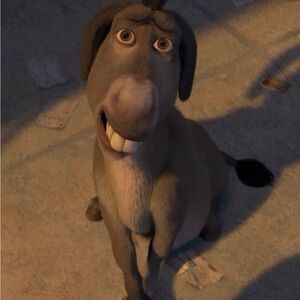 Meet your Posher, Sam